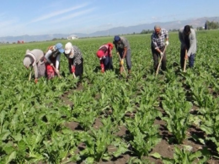Devlet Emeğimizin Karşılığını Vermiyor!
