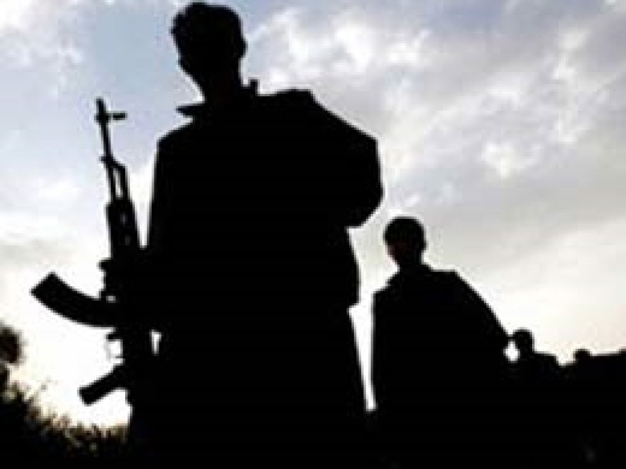 Bingöl'de Bir PKK'li Teslim Oldu 