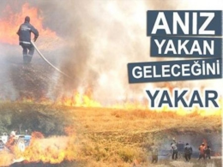 Anız Yangını Korkuttu