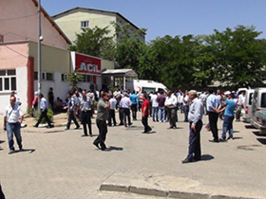 Muş'ta Ot Kavgası: 2 Ölü 