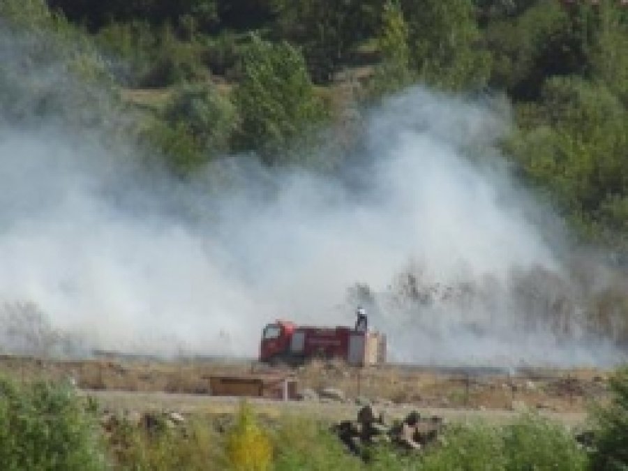 Atatürk Orman Çiftliği'nde Yangın