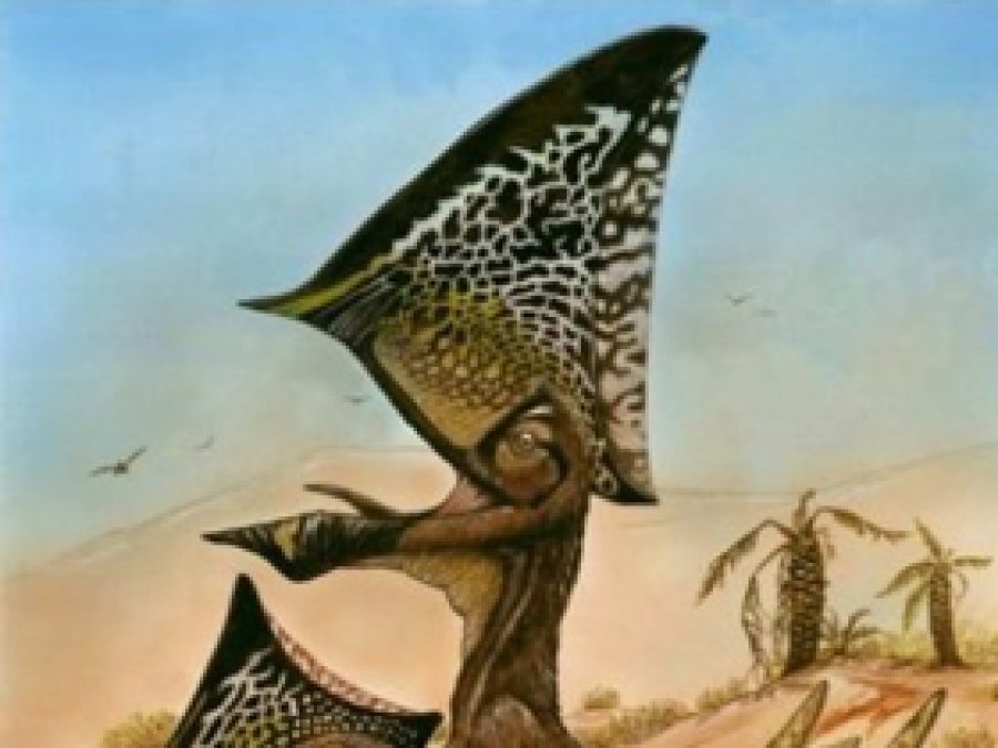 Brezilyalılar Kelebek Başlı Dinozor Bulundu