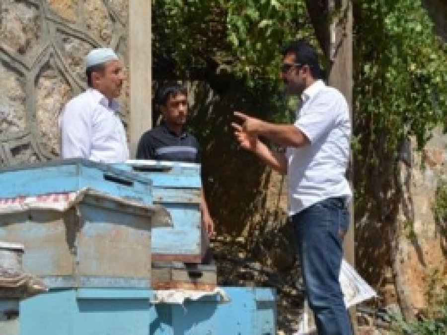 Arıcılar Teorik ve Pratik Eğitimi Görüyor