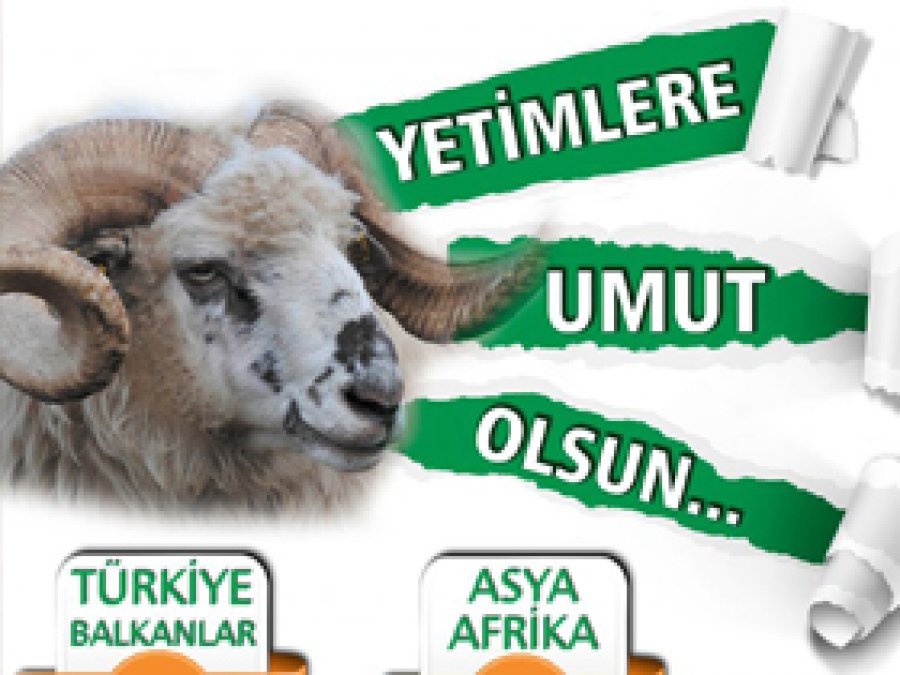 Avrupa Yetim-Der'den Kurban Kampanyası