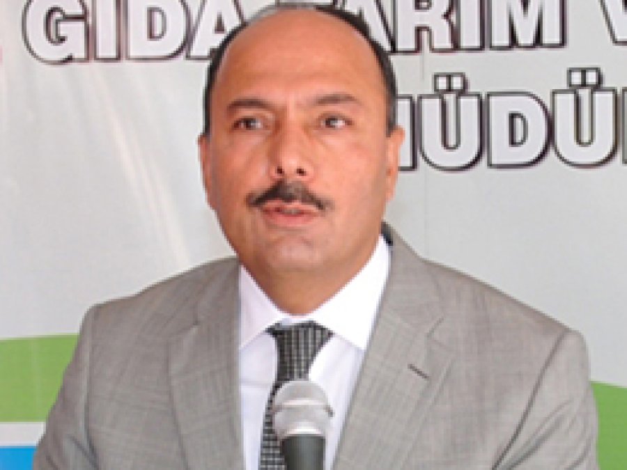 Adana'da 80 Bin Ton Yer Fıstığı Rekoltesi Bekleniyor 