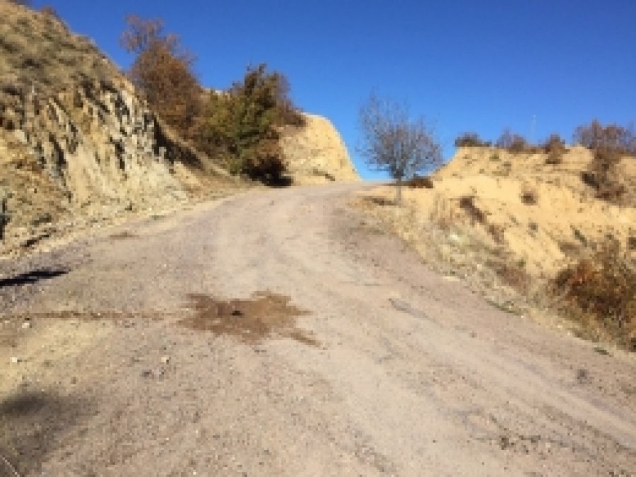 Bingöl'de köy yoluna döşenen bomba imha edildi