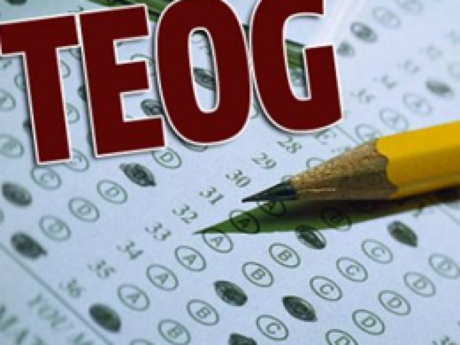 Van'da TEOG deneme sınavı yapıldı