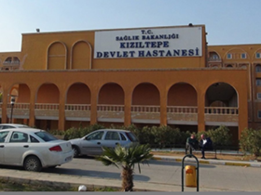 Kızıltepe'de Hepatit hastalarına konferans  