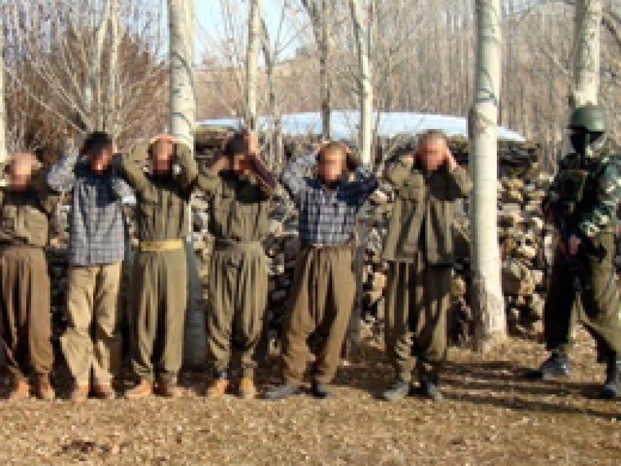 Şırnak ve Urfa'da PKK'lı 8 kişi teslim oldu