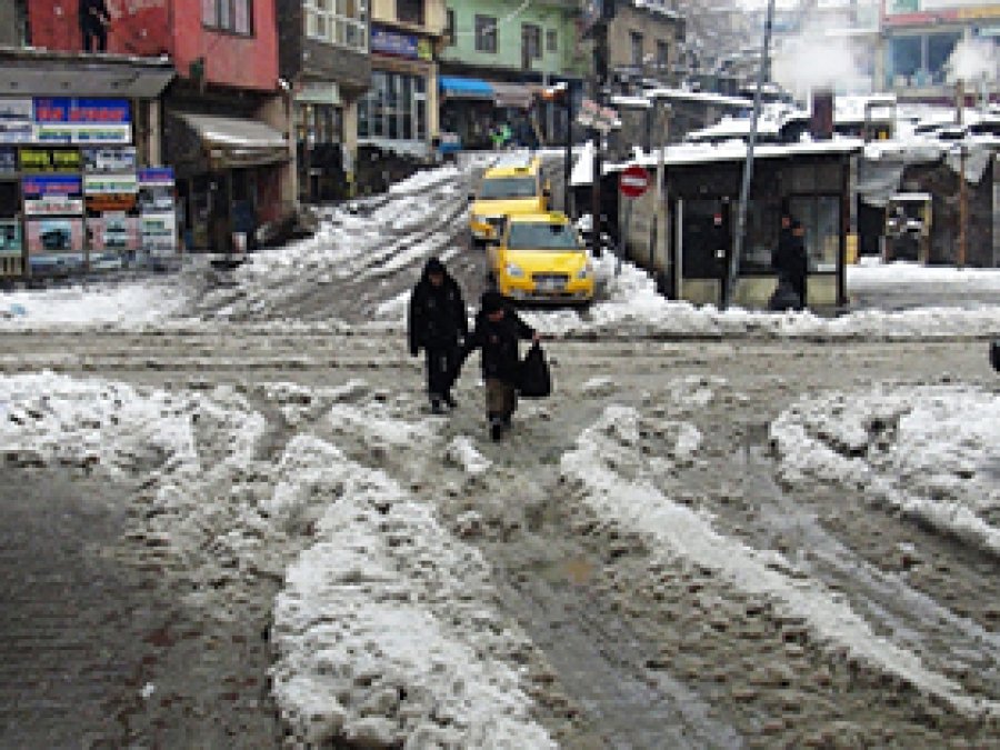 Bitlis'te 246 köy yolu ulaşıma kapandı