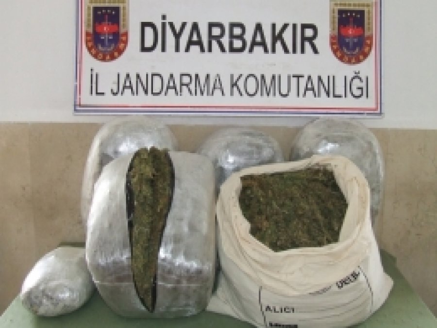 Diyarbakır'da esrar baskını