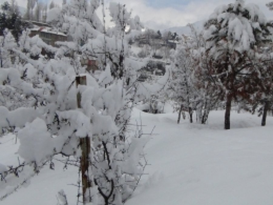Kocaeli'nde yarın okullar tatil