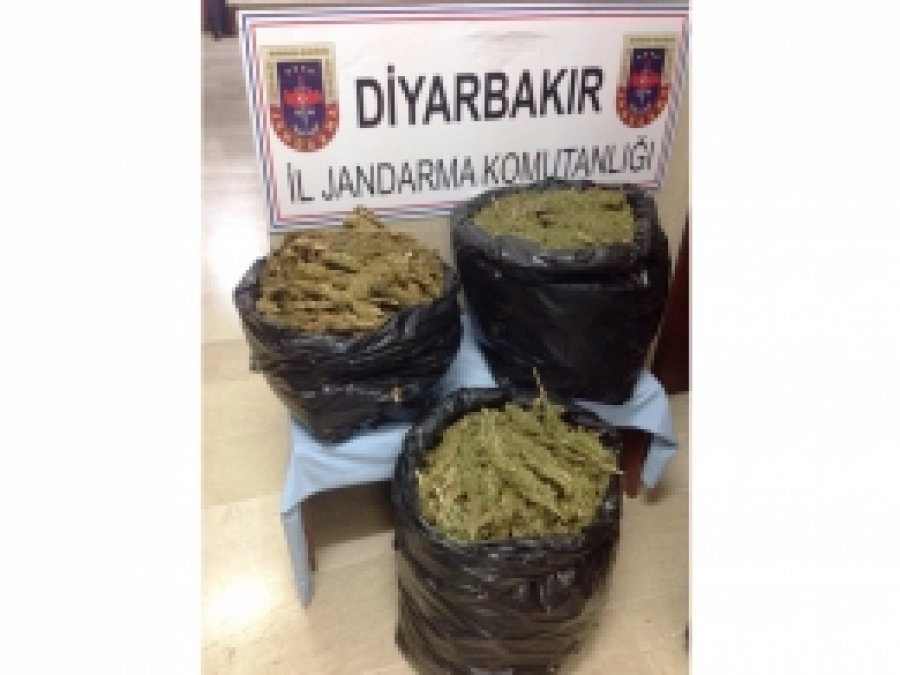 Diyarbakır'da esrar baskını