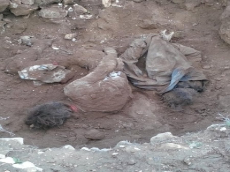 Şanlıurfa'da gömülü iki ceset bulundu