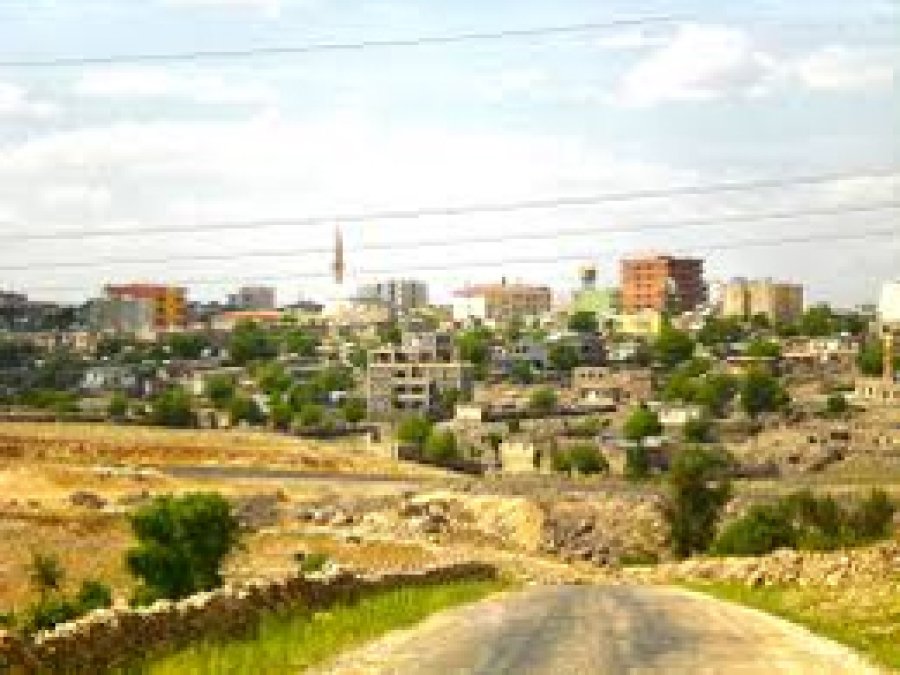 Yol kenarında ölü bebek bulundu