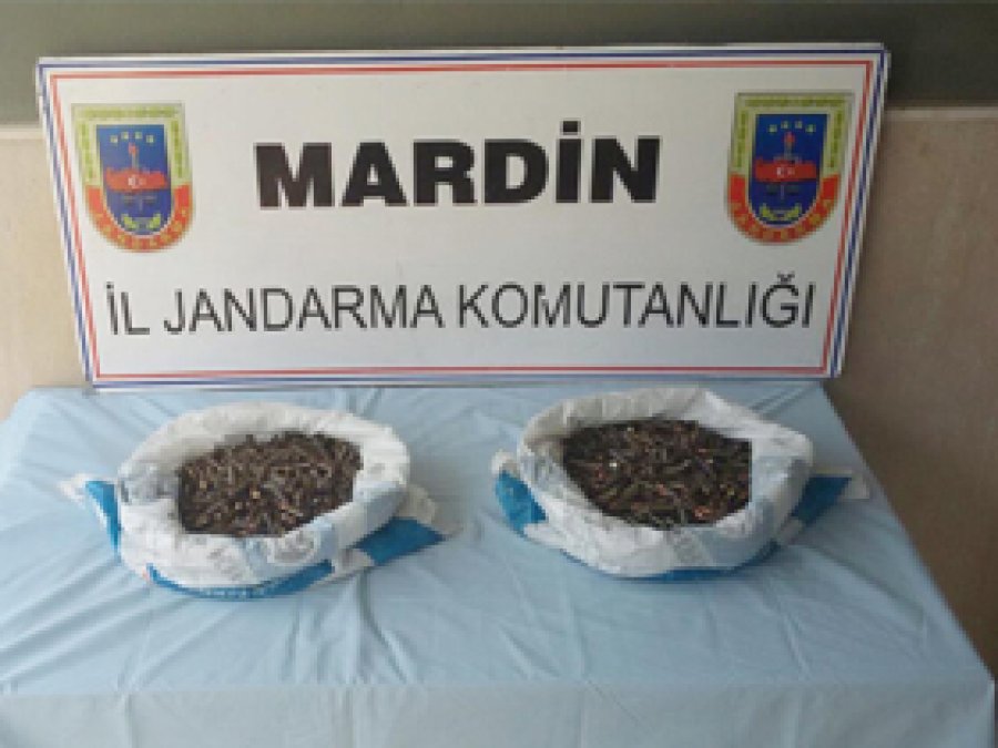 Mardin'de bir araçtan cephanelik çıktı