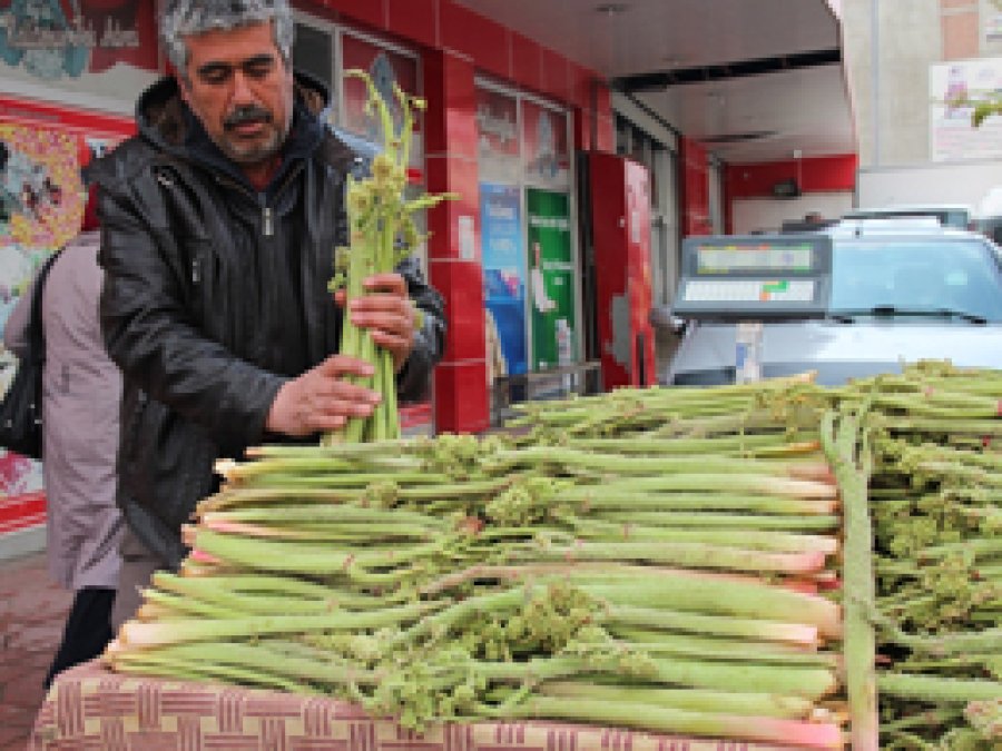 Yayla Muzu tezgâhlardaki yerini Aldı
