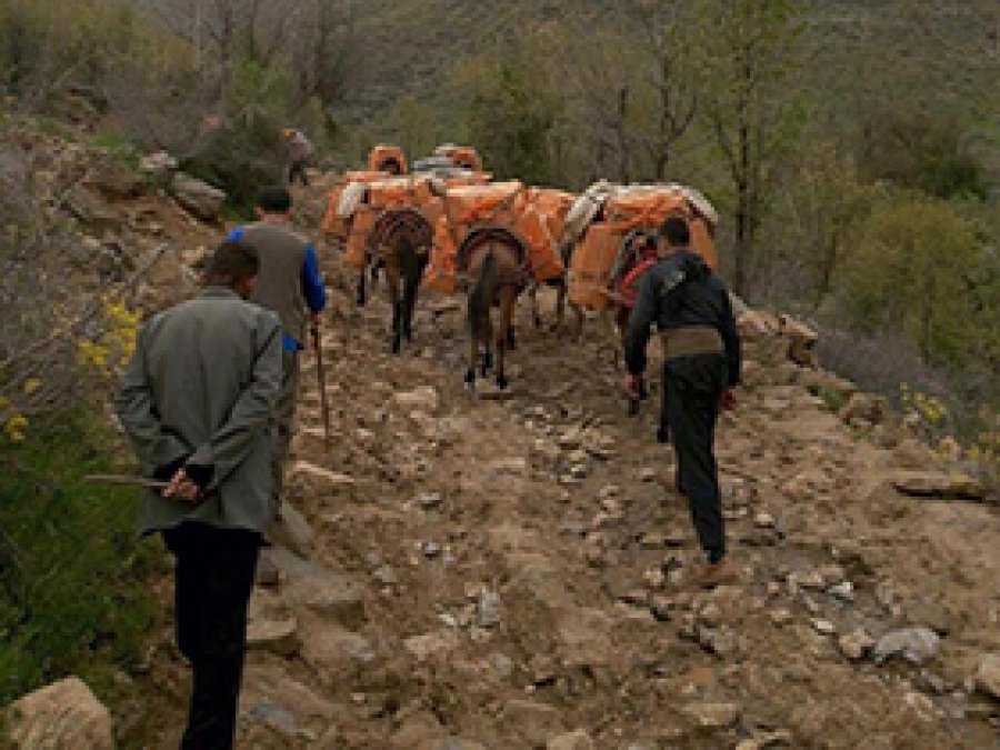 PKK'ya kaçakçılık darbesi