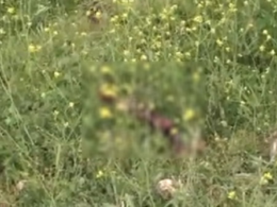 Gaziantep’te kesilmiş insan bacağı bulundu