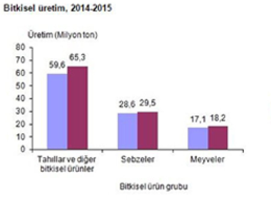 Bu yıl bitkisel üretimde artış olacağı tahmin ediliyor