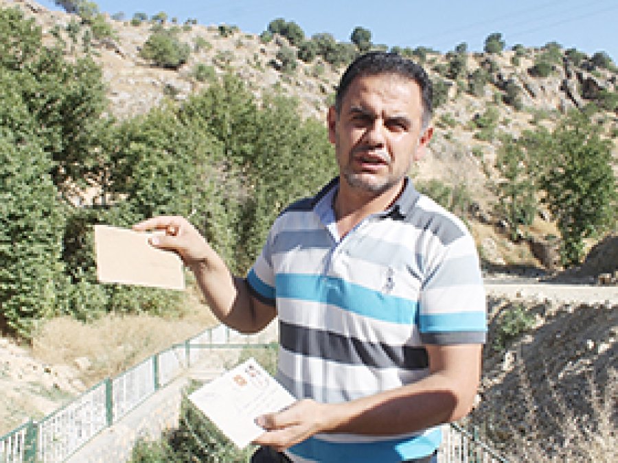Yeşilli'de 8 bin 500 ağaç katledildi
