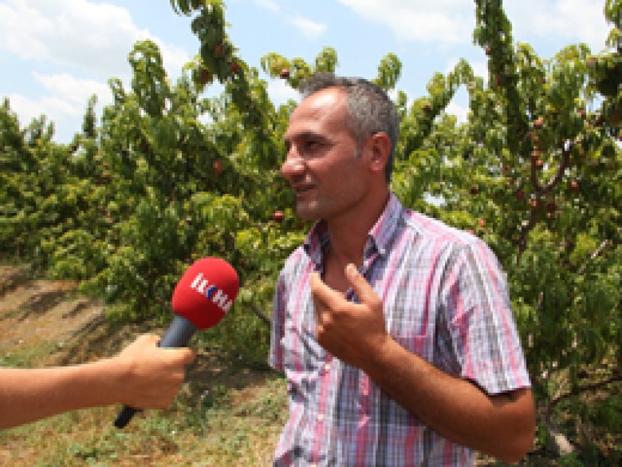 Tarlada 40 kuruş, markette 4 TL!