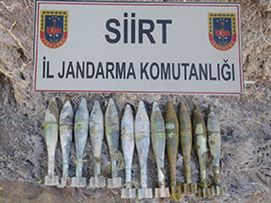 Siirt'te mühimmat yakalandı