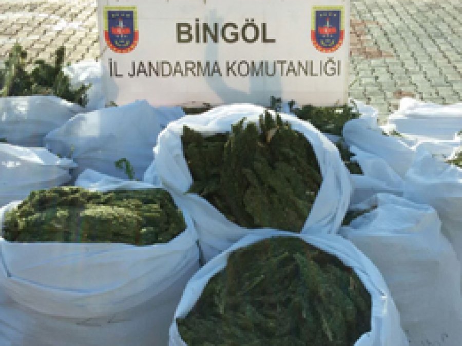 Bingöl'de 530 kilo esrar ele geçirildi