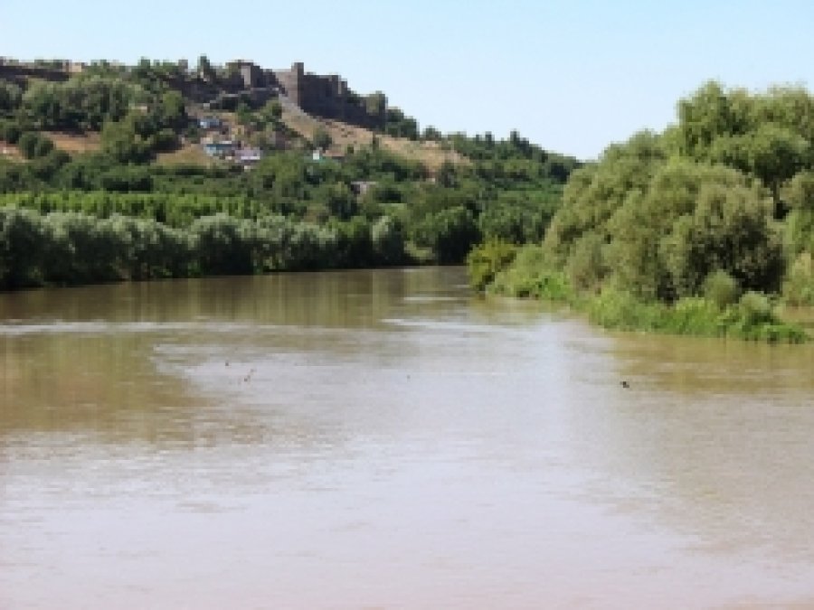 Dicle Nehrinde balık çeşidi azalıyor