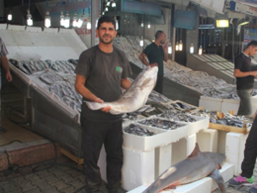 Av sezonu başladı balıkçının yüzü güldü