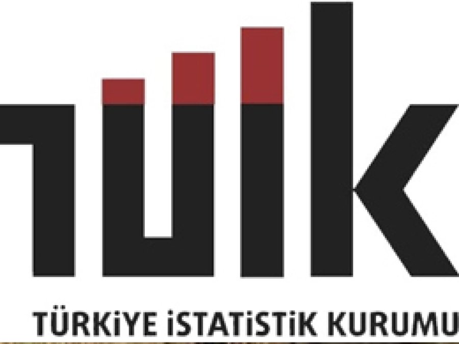 TÜİK TRC-3'ün üretim istatistiklerini açıkladı