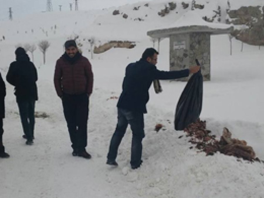 Van'da sokak hayvanları için yiyecek bırakıldı