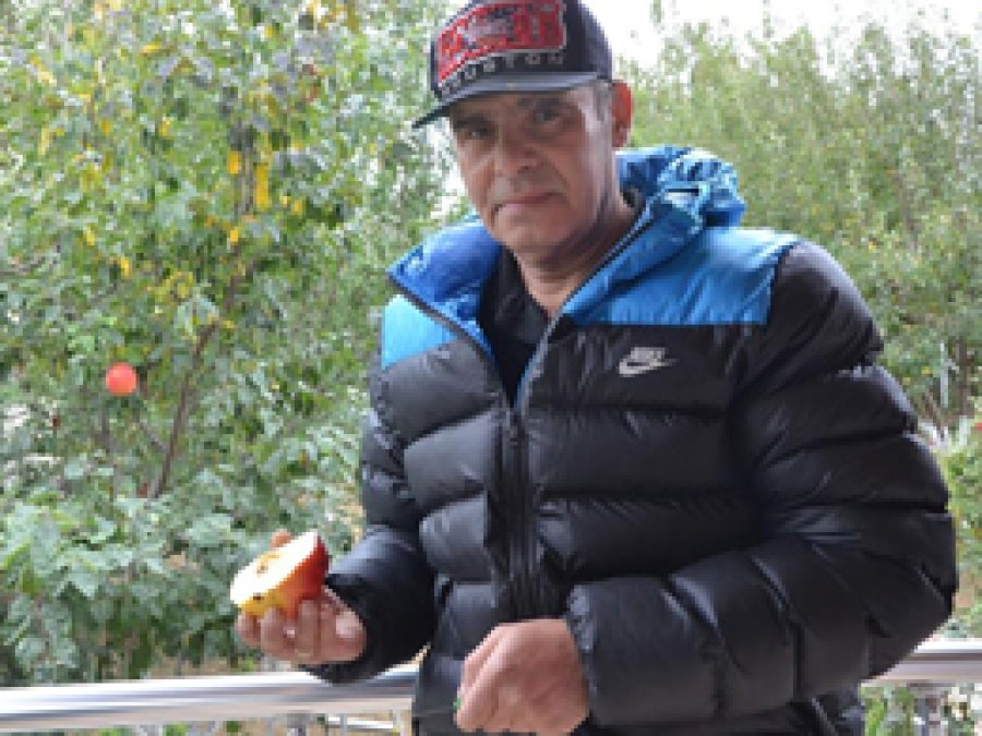 Ayva ve elmaya benzeyen meyve