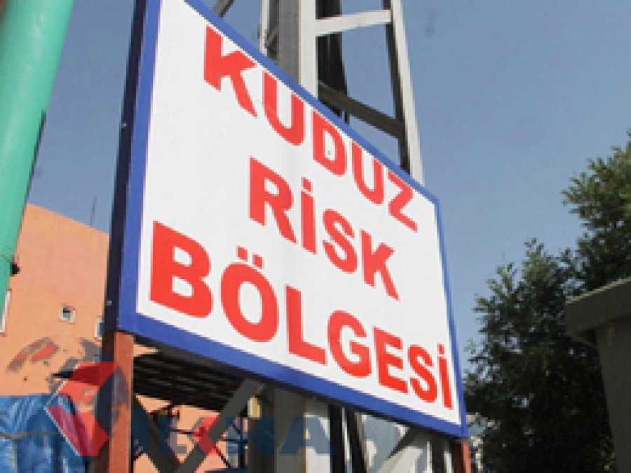 Osmaniye’de kuduz salgını