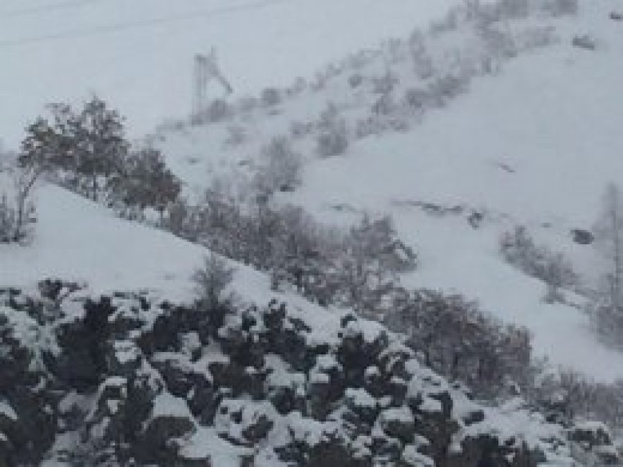 Bitlis’te 2 asker hayatını kaybetti