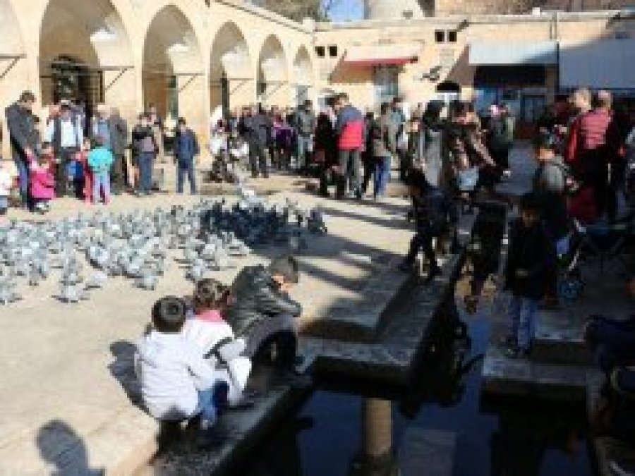 Urfa'da bahar havası yaşanıyor