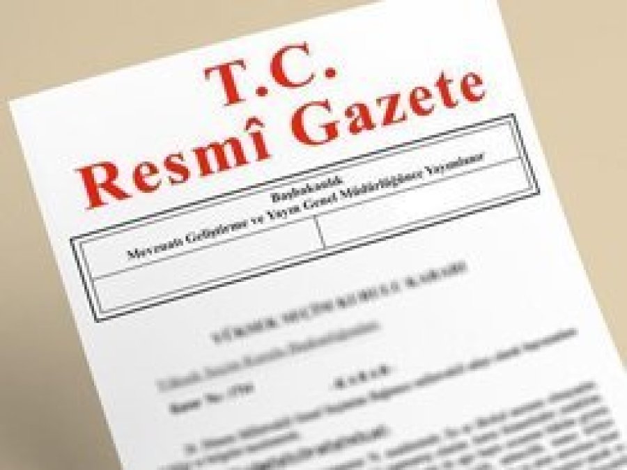 Kurumlar döviz yerine TL kullanabilecek