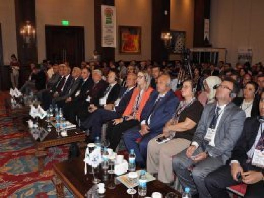 Mardin'de Yukarı Mezopotamya sempozyumu