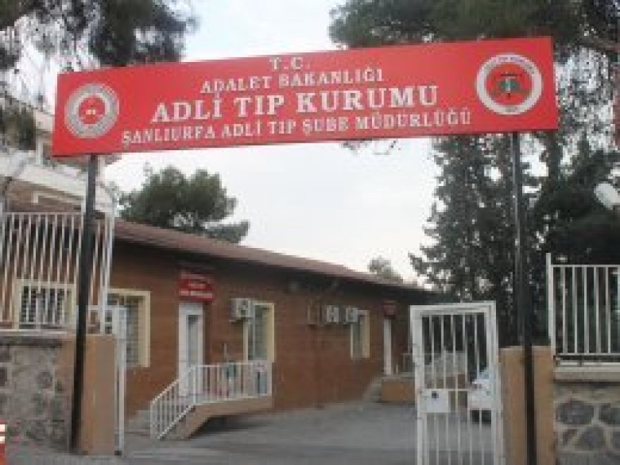 3 çocuk pamuk tarlasında ölü bulundu