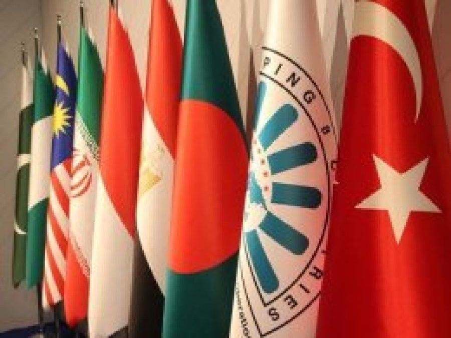 D-8 Zirvesi'nin ortak bildirisi yayımlandı