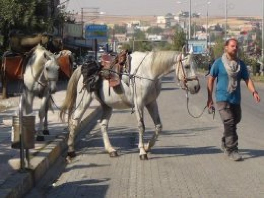 Polonya'dan Kudüs'e gitmek için 10 aydır at sırtında