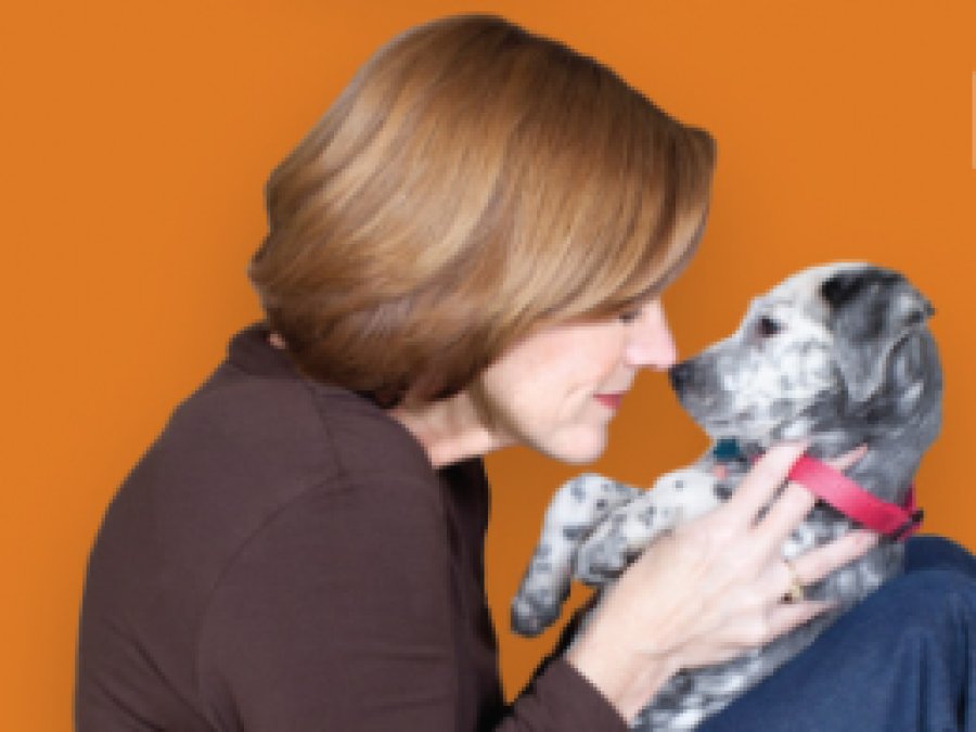 ABD'de köpeğe duyulan şefkat insandan fazla