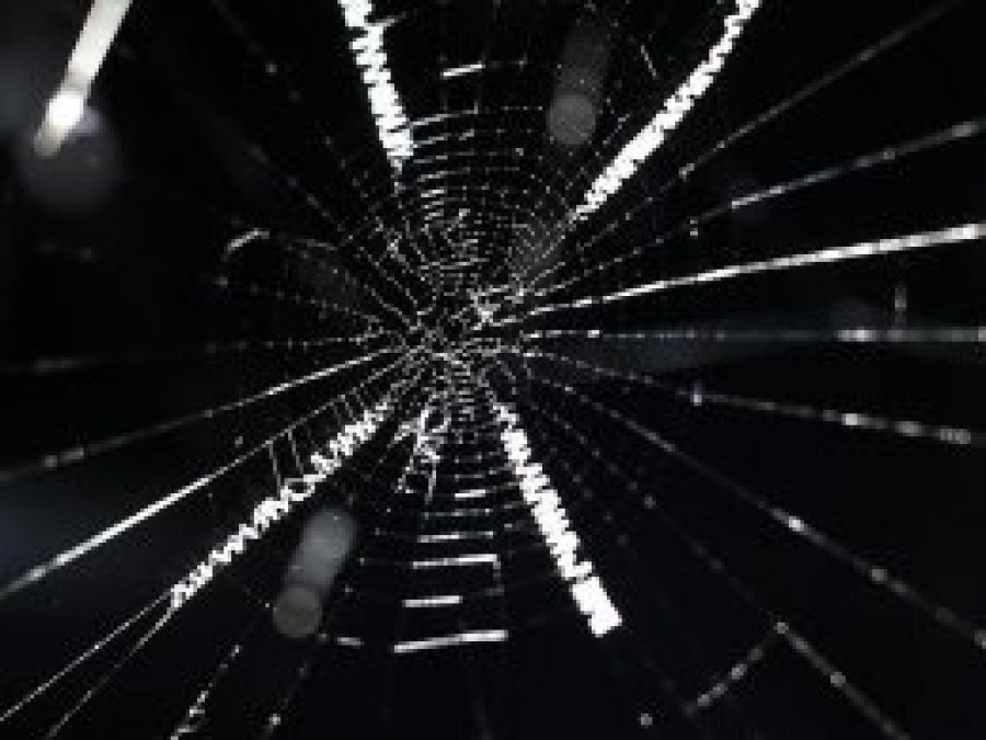Örümcek ipeğinden hassas işitme cihazı
