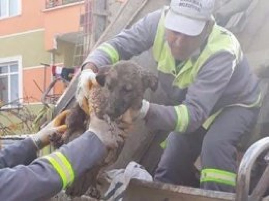 Köpeği canlı canlı çuvala koyup çöpe attılar