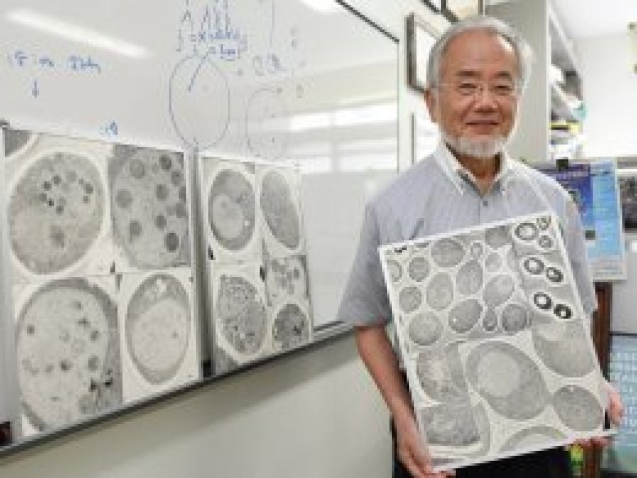 7 Japon bilim insanının İslam'ı seçme öyküsü