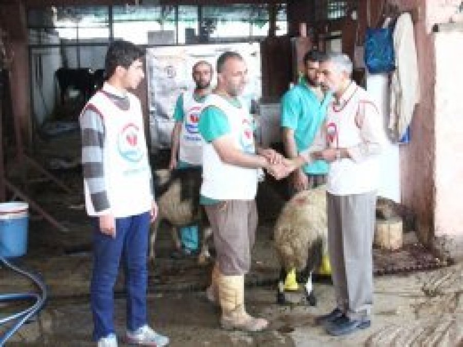 Yetimler Vakfından yetimlere et yardımı