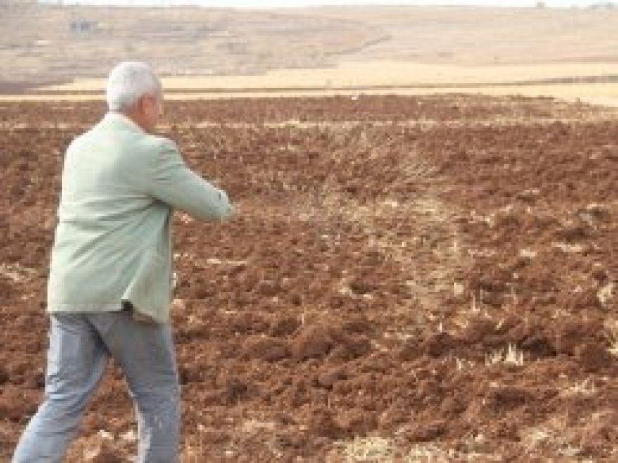 Ekinlerini toprağa atan çiftçiler yağmuru bekliyor