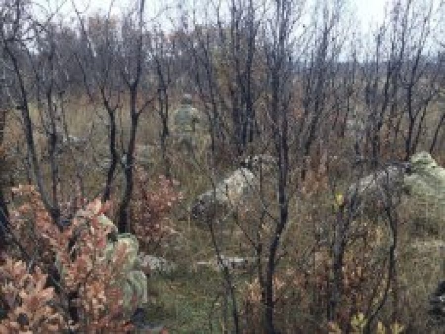 Diyarbakır'da 3 PKK'li öldürüldü