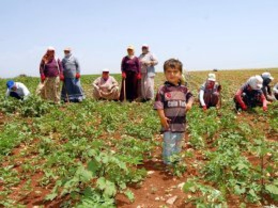 Mevsimlik işçiye kıdem müjdesi