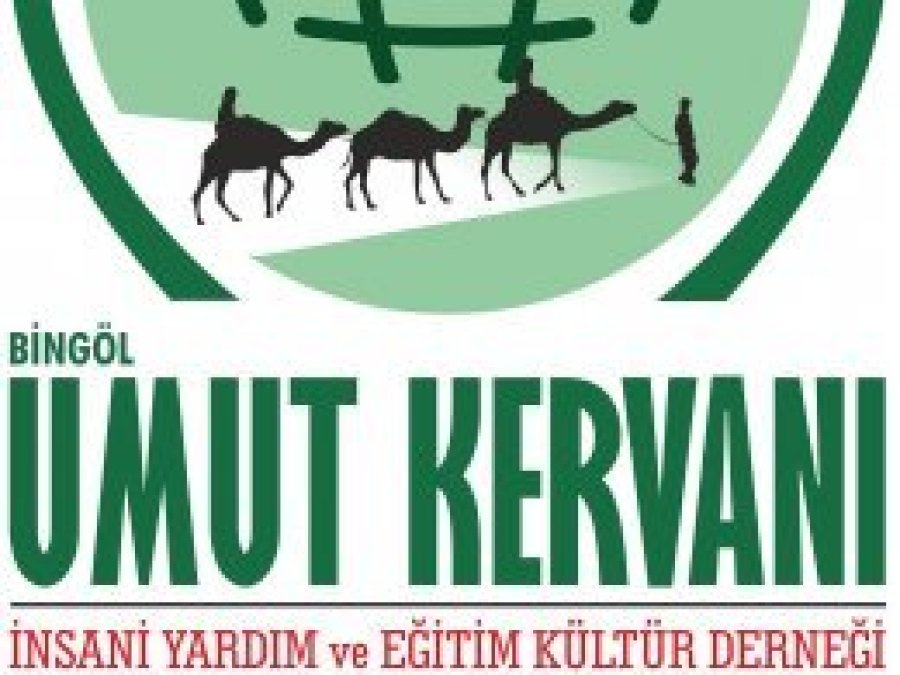 Bingöl Umut Kervanı’ndan yetim aileye odun yardımı